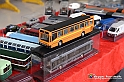 VBS_2382 - 6ª edizione Mostra di Modellismo 2022 - Grugliasco Parco le Serre